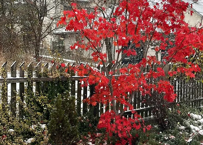 Marmar Appartement *